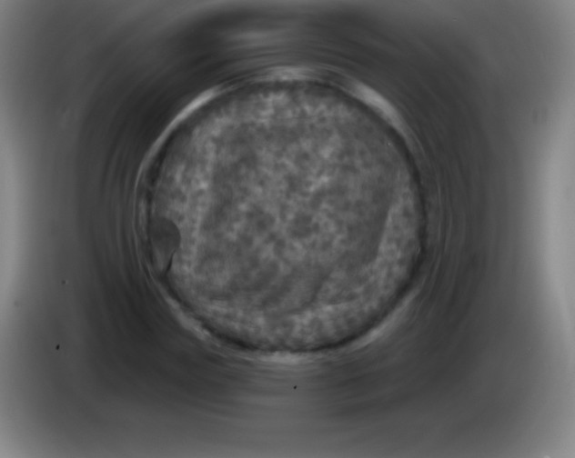 X0000085300827200703301958