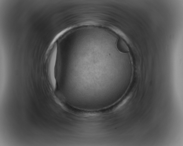 X0000085300830200703301958