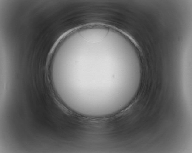 X0000085300832200703301958
