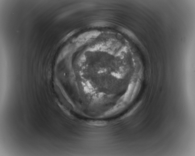 X0000085300833200703301958