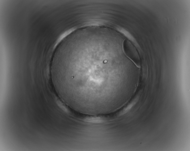 X0000085300834200703301958