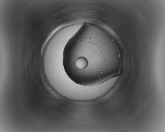 X0000085300836200703301958