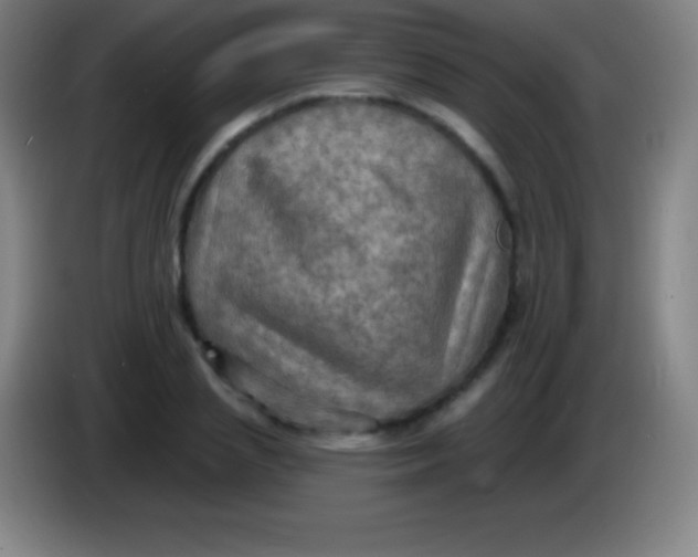 X0000085300837200703301958