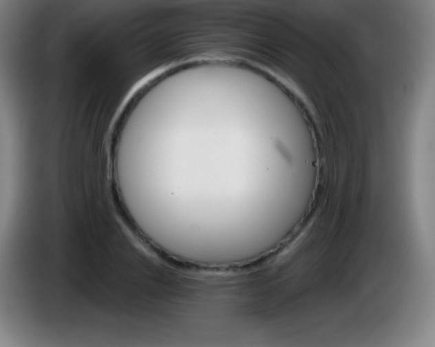 X0000085300838200703301958