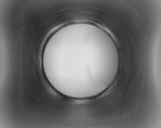 X0000085300840200703301958