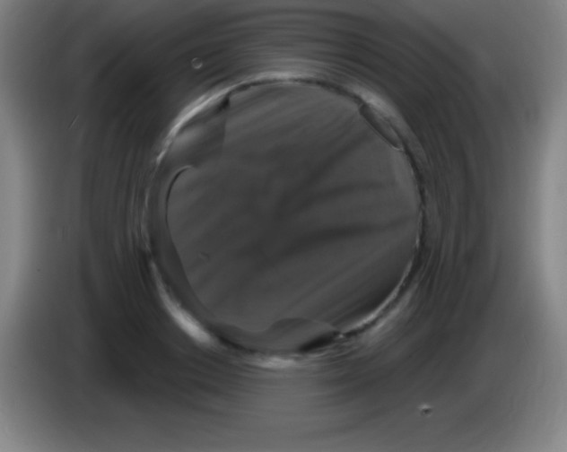 X0000085300842200703301958