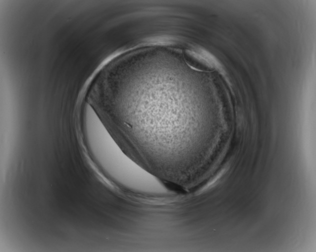 X0000085300843200703301958