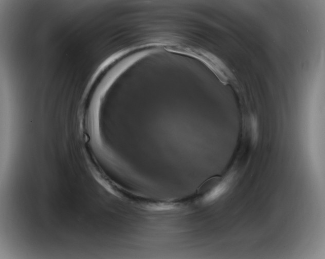 X0000085300846200703301958