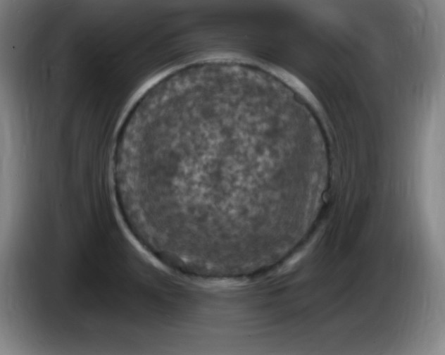 X0000085300847200703301958