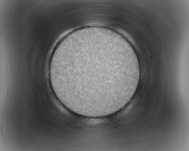X0000085300848200703301958