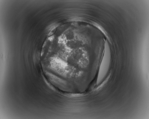 X0000085300849200703301958