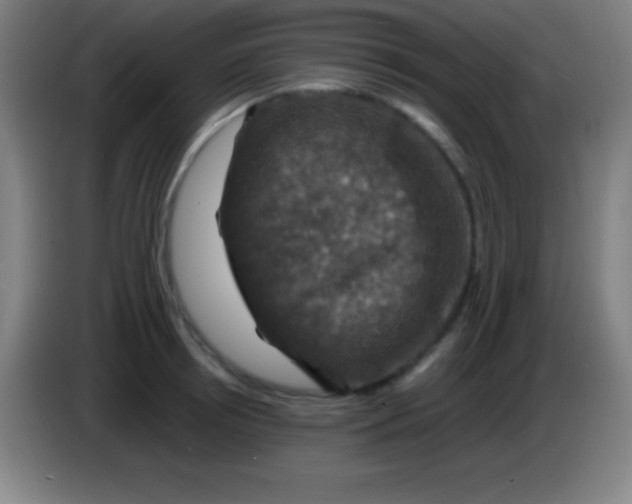 X0000085300850200703301958