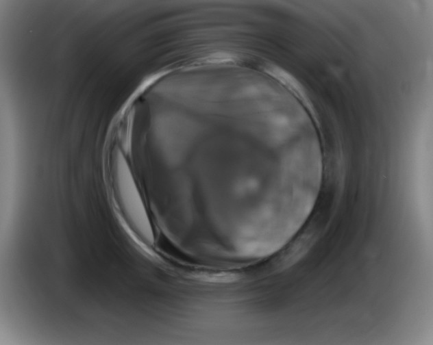 X0000085300851200703301958