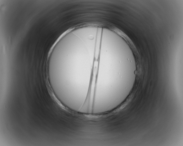 X0000085300852200703301958