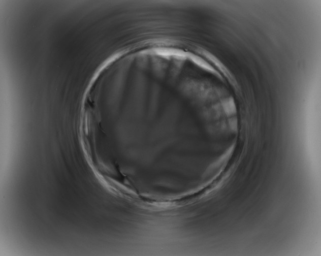 X0000085300853200703301958