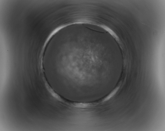 X0000085300854200703301958