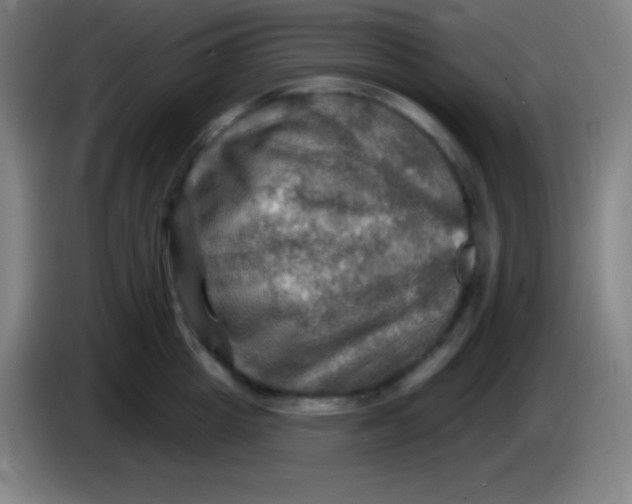 X0000085300857200703301958