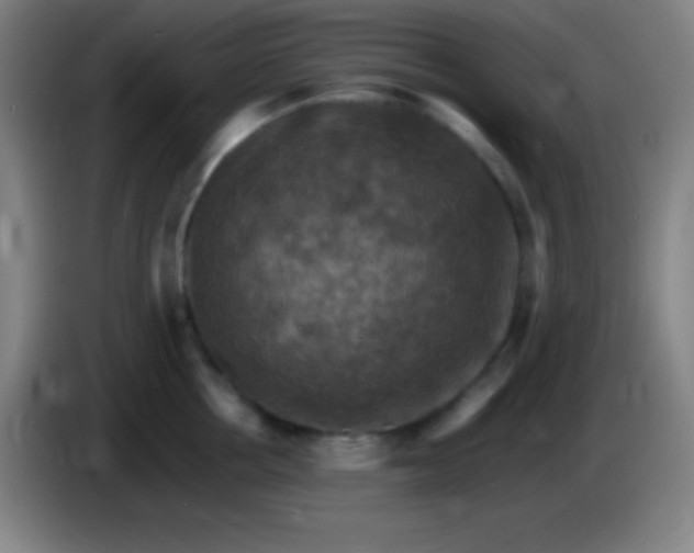 X0000085300858200703301958