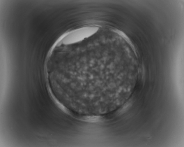 X0000085300859200703301958
