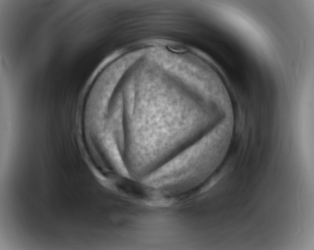 X0000085300861200703301958