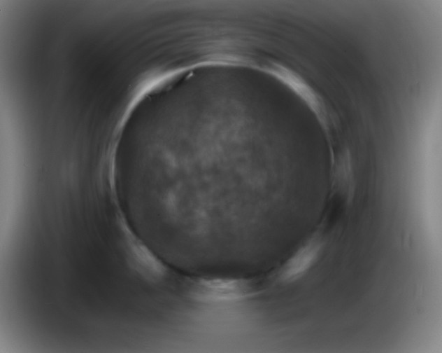 X0000085300862200703301958