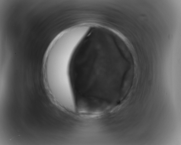 X0000085300864200703301959