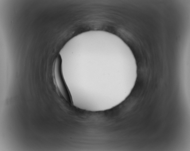 X0000085300865200703301958