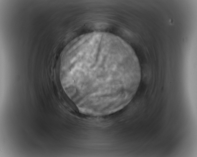 X0000085300866200703301958