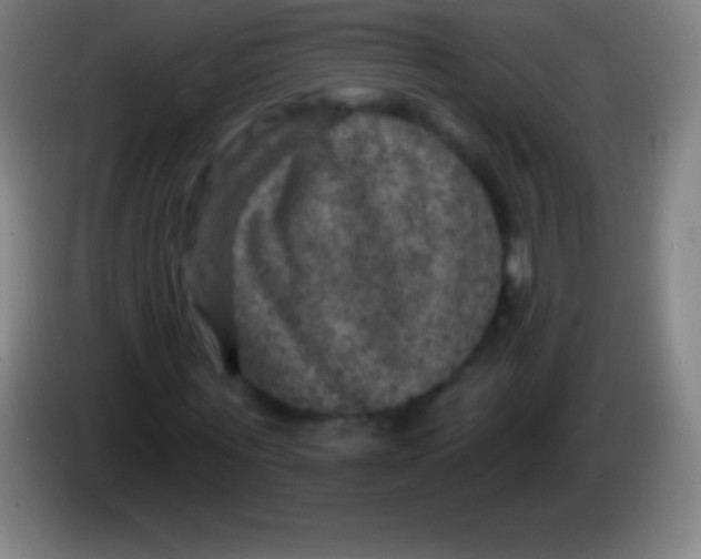 X0000085300867200703301958