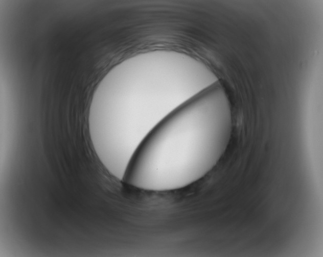 X0000085300868200703301958
