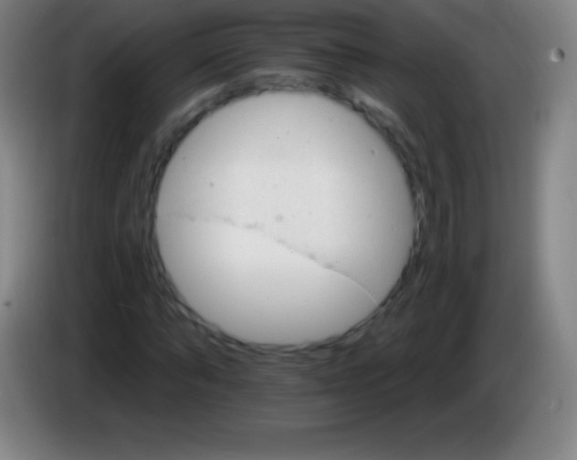 X0000085300870200703301958