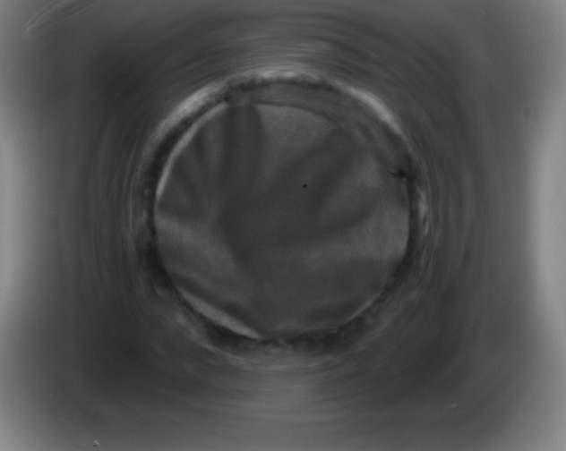 X0000085300872200703301958