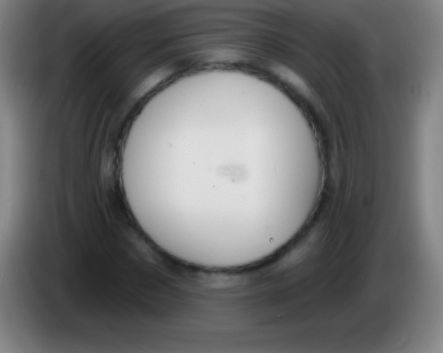 X0000085300873200703301958