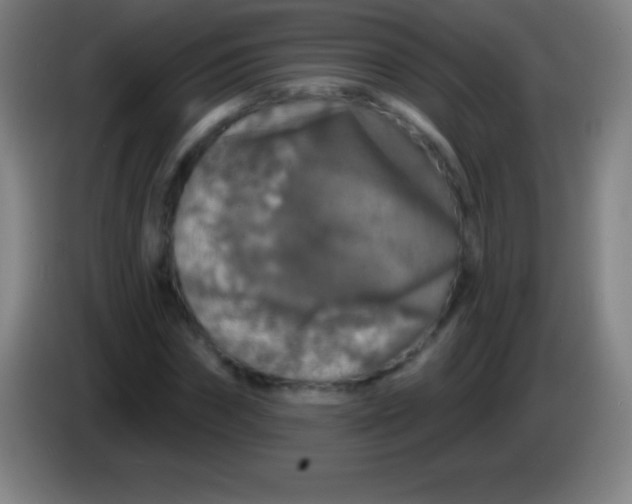 X0000085300874200703301958