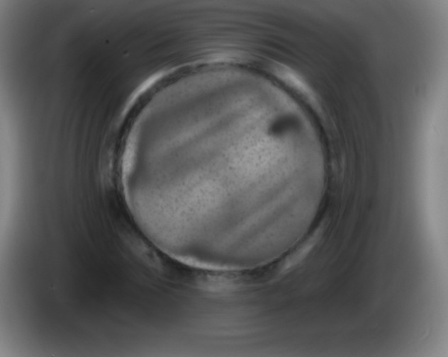 X0000085300875200703301958