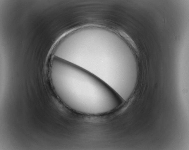 X0000085300876200703301958