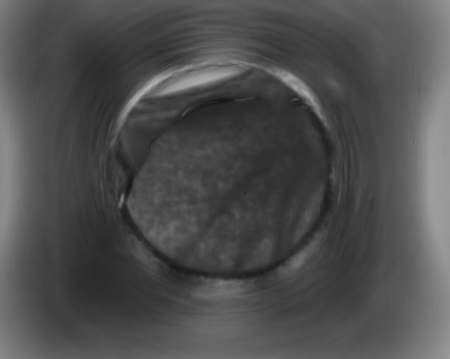X0000085300877200703301958