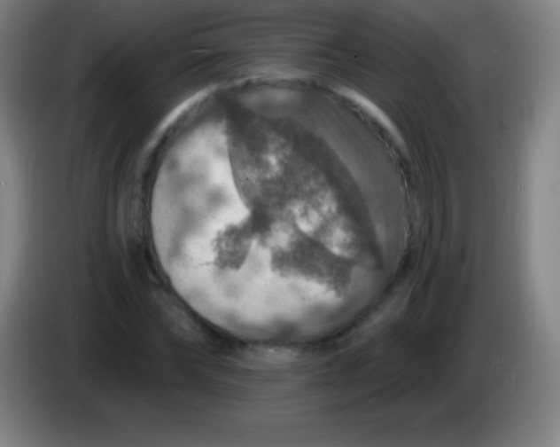 X0000085300878200703301958