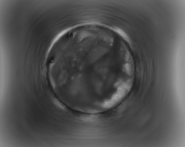X0000085300879200703301958