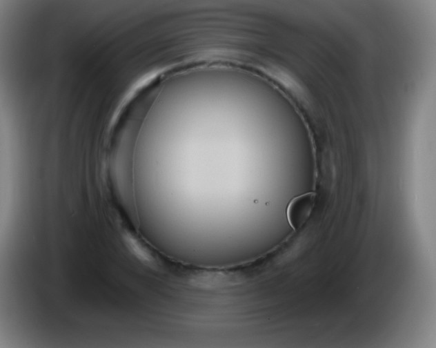 X0000085300880200703301958