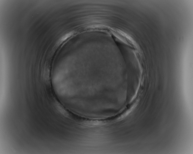 X0000085300881200703301958