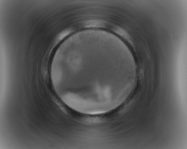 X0000085300882200703301958