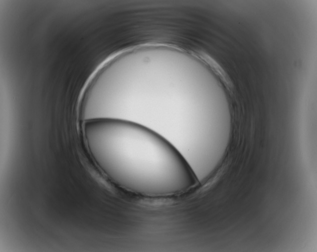 X0000085300884200703301958