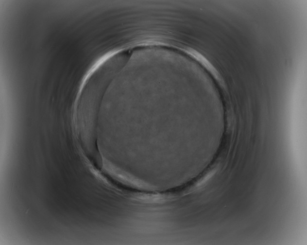 X0000085300885200703301958