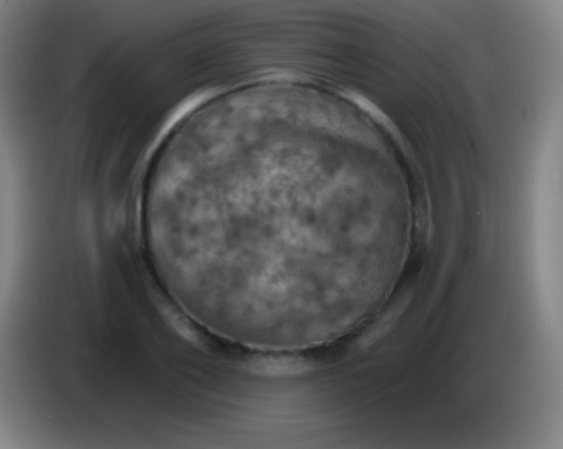 X0000085300886200703301958