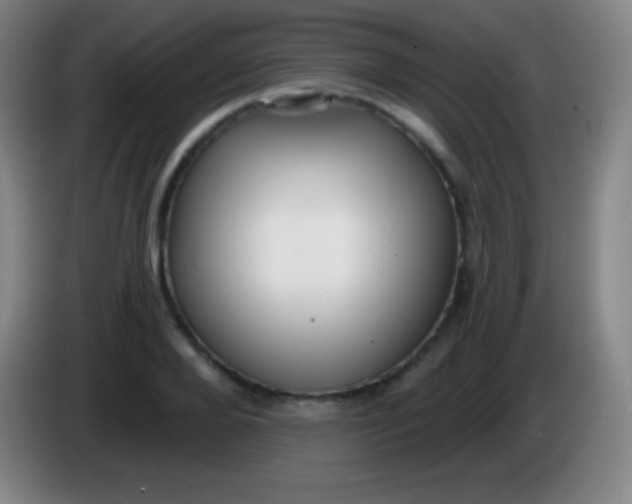 X0000085300888200703301958