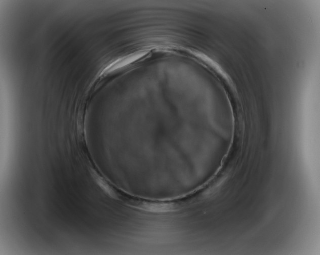 X0000085300889200703301958