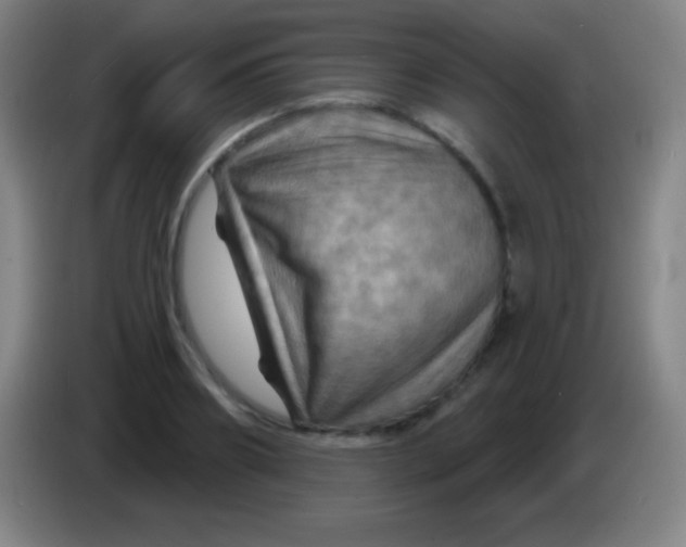X0000085300890200703301958