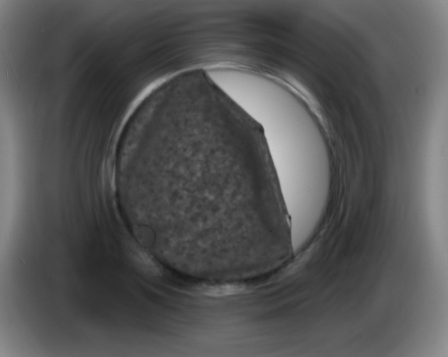 X0000085300891200703301957