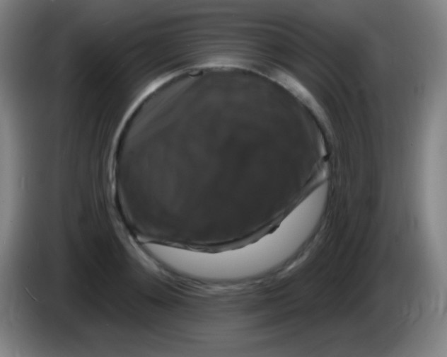 X0000085300892200703301957